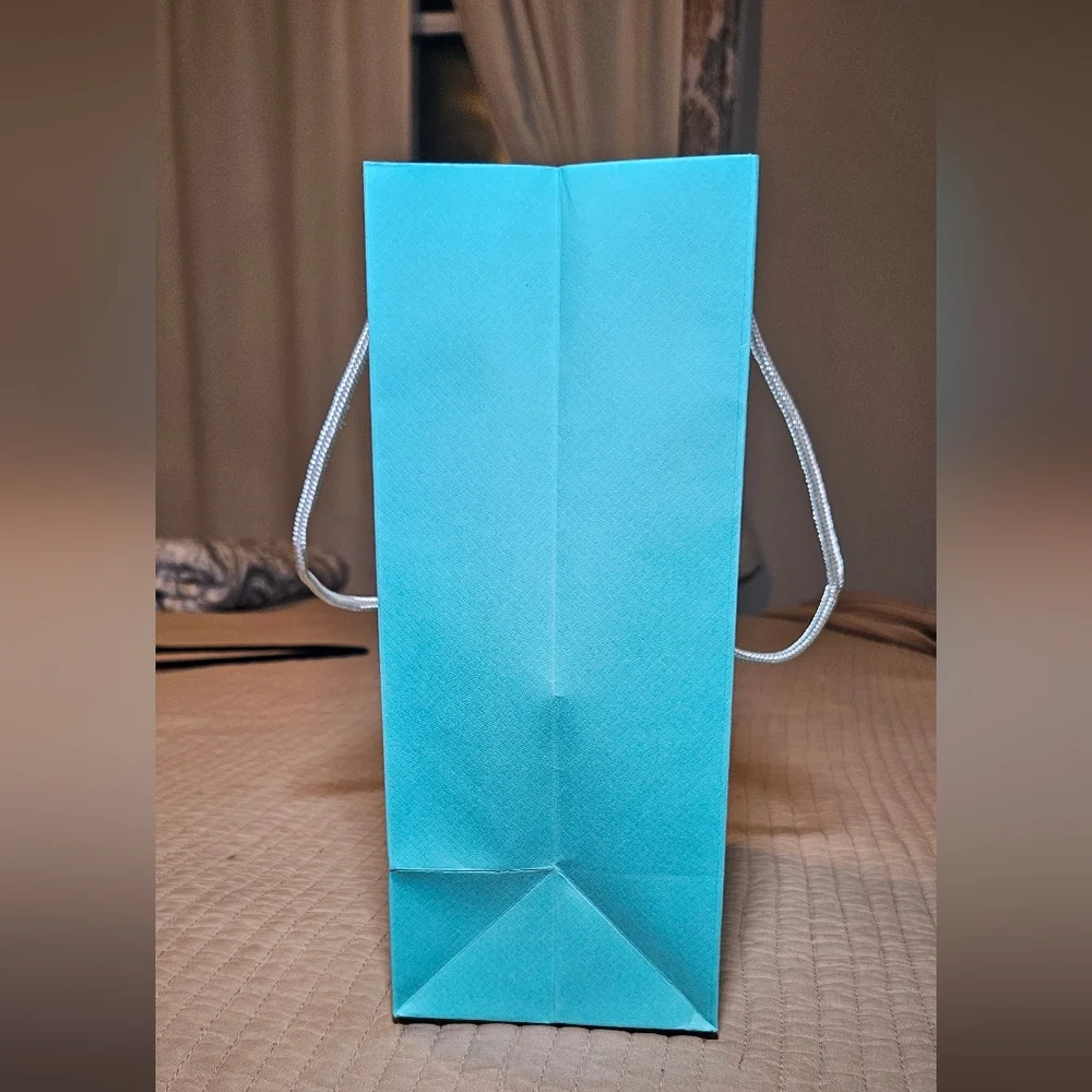 Authentic Tiffany and Company Gift Bag